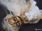Ooak Monster High