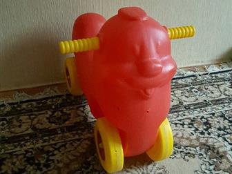  ,   : /  