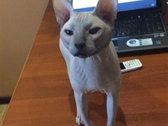 ,  ,  ,   7,     6 !    ,    ,    )  