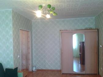 id: 49978041   (  ),  ,   ,  ,   ,        