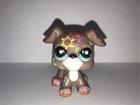  Hasbro Littlest Pet Shop LPS #26399