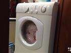   Ariston