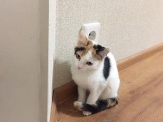     ,   ,   9 ,     ,    ,      ,  ,   