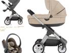  stokke crusi,  Stokke izi go be