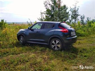 Nissan Juke 2011, ,      (   ,  ,  ,   ),    ,     