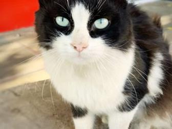  ,   ,      ,       ,  ,   ,  