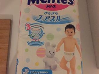   Merries XL,     ,    5 , :   