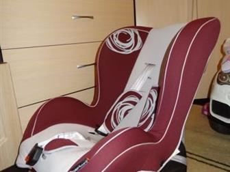  bertoni - ,   0 - 18 ,  3  , : /  