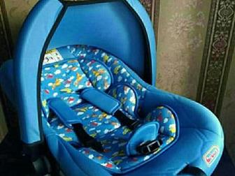   Geburt BR-318, 0 (0-13),     ,  ,      WhatsApp, :   