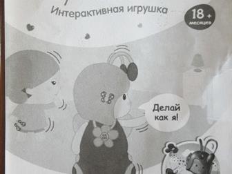 ,  ,   /  ,  ,  1000, : /  -