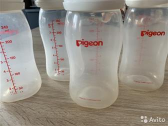 Pigeon Peristaltic Plus -       ,  240 ,       ,     ,   