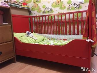      3-4 ,    (   )   ,         ,    ,   
