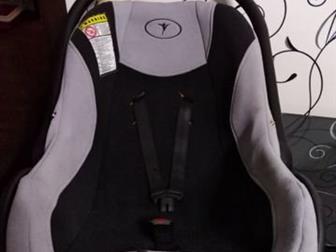   ,     10 ,   ,       : /  