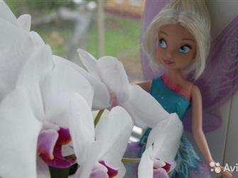    Disney, ,   )    )  ,      ):  