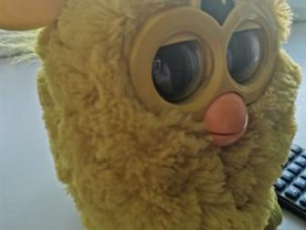    furby, : /  