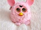  Furby ( )