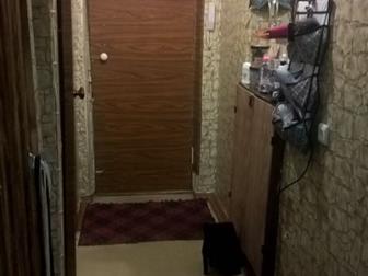   ,   ,  , ,   ,    ,  ,  ,    