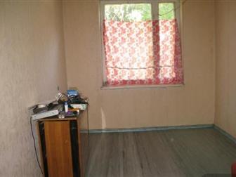  3-   - , 1/5   ,       (   ),  ,  