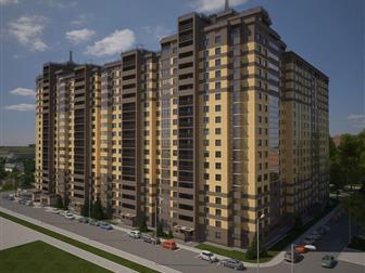            - ,   ,    4  2019- ,  