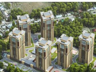  ,  ,     ,       ,   /,,  