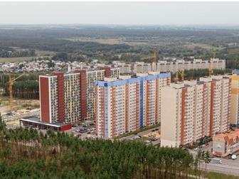   1-       17        ,     -2,   ,  