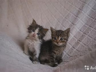  , ,   ,       ,     ,   ,    ,  ,   