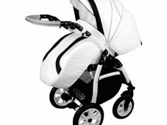  2  1 Gusio Briciola Carrera (  ), ,     ,    ,   ,    