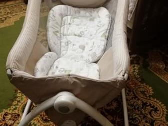 Graco - Little Lounger      ,               