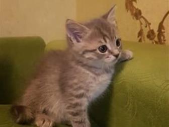   ,      ,      ,    ,    ,      
