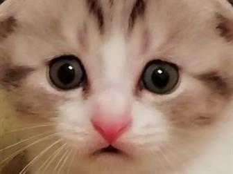  ,        28 ,        ,    ,  