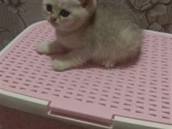 , 2 ,   ,  ,      