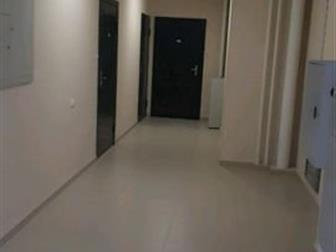   3-      ,        ,  ,     