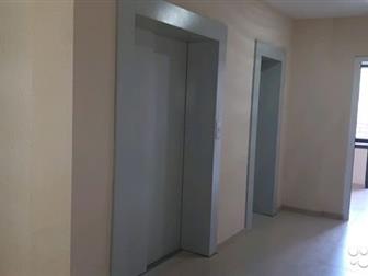   3-      ,        ,  ,     