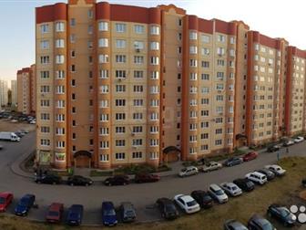   ,   ,   ,  ,  ,  ,   ,      