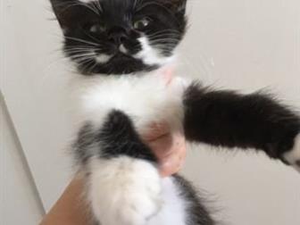  !  !     (    ,    ),     ,   ,  