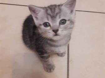   2    ,   ,   , ,,  
