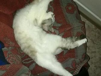   ,    ,  ,    ,  ,  