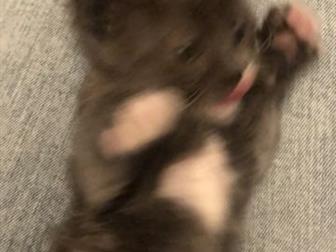       ??  