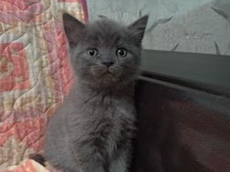    13, 09,   ,    ,  