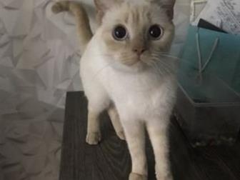     ,  !  ,  ,,, 2 ,     ,  