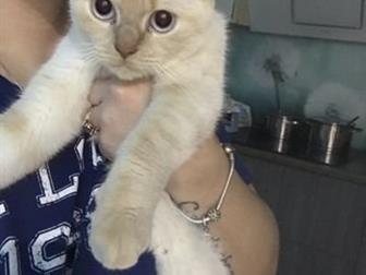     ,  !  ,  ,,, 2 ,     ,  