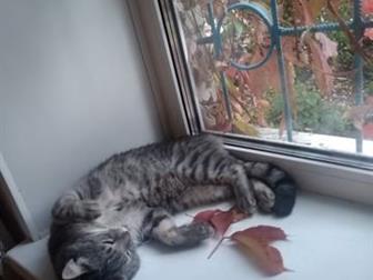      ,       ,       ,   ,       , ,  