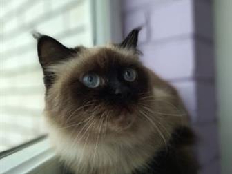   ,   ,         ?), ,      ,  