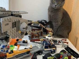        ,   2,5 ,   ,   , , ,        ,  