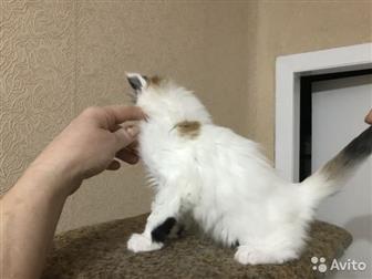  ,  ,    1, 11, 19,    ,    ,   ,     ,  