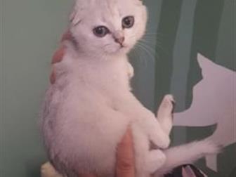    ,   ,     ,   ,   ,     7  - ,  