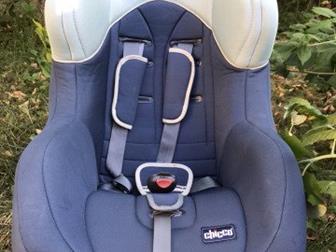  Chicco   ,    9-18,   ,   : /  