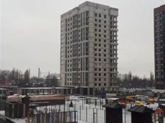     100%             ,     ,  