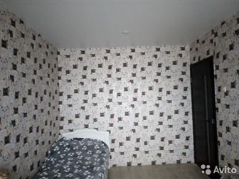   :  :  , ?: 66 : :  ,    